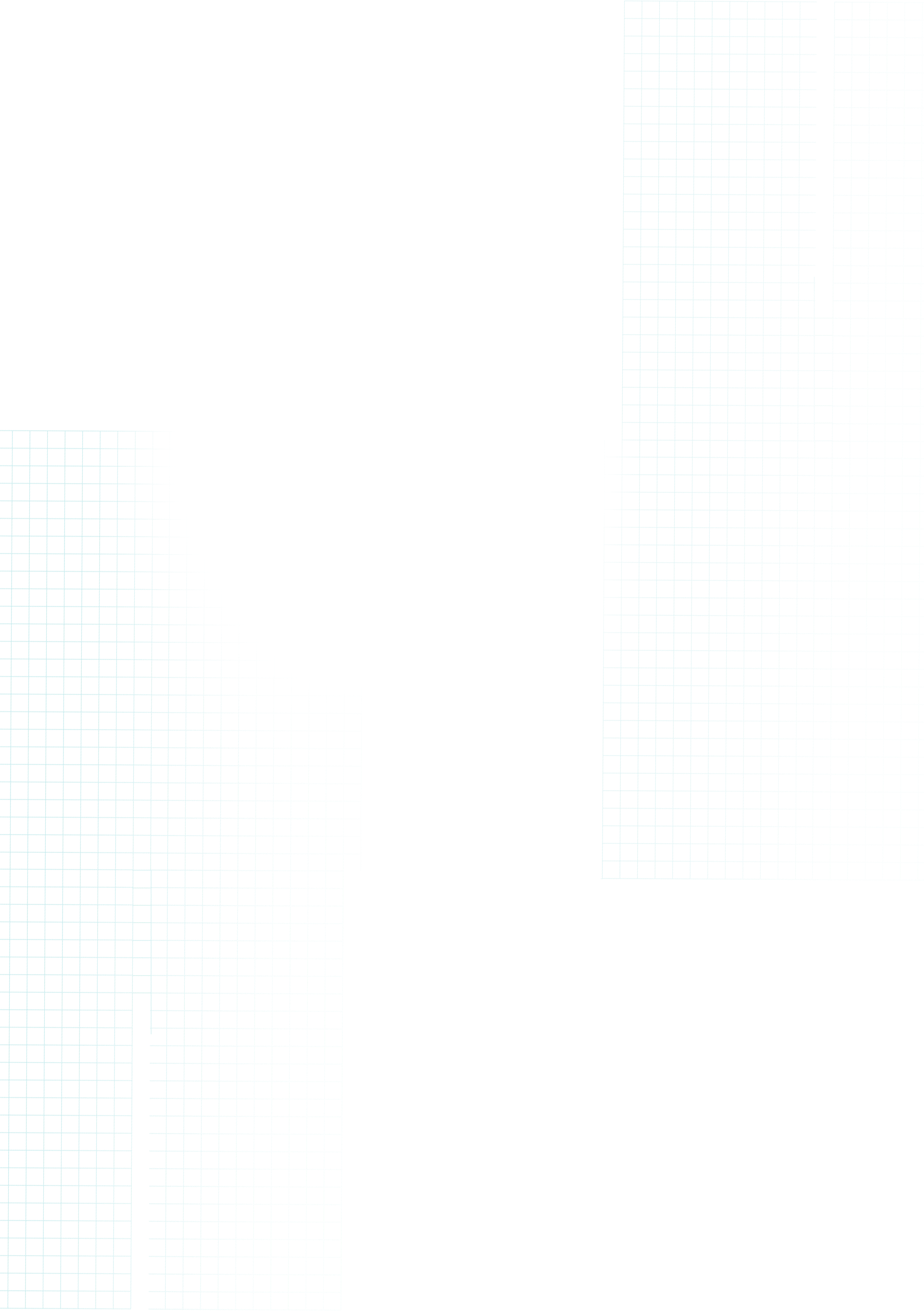 white-line5